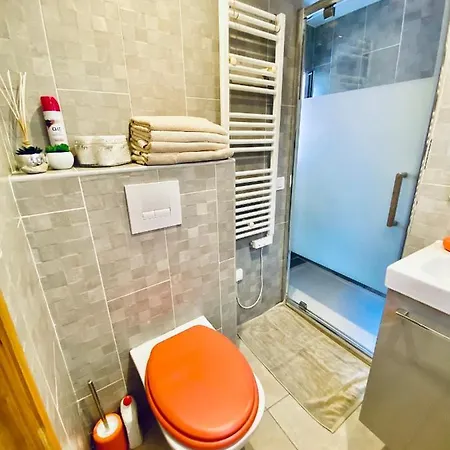 Modern Mansard Vieux-nice Apartament Nicea